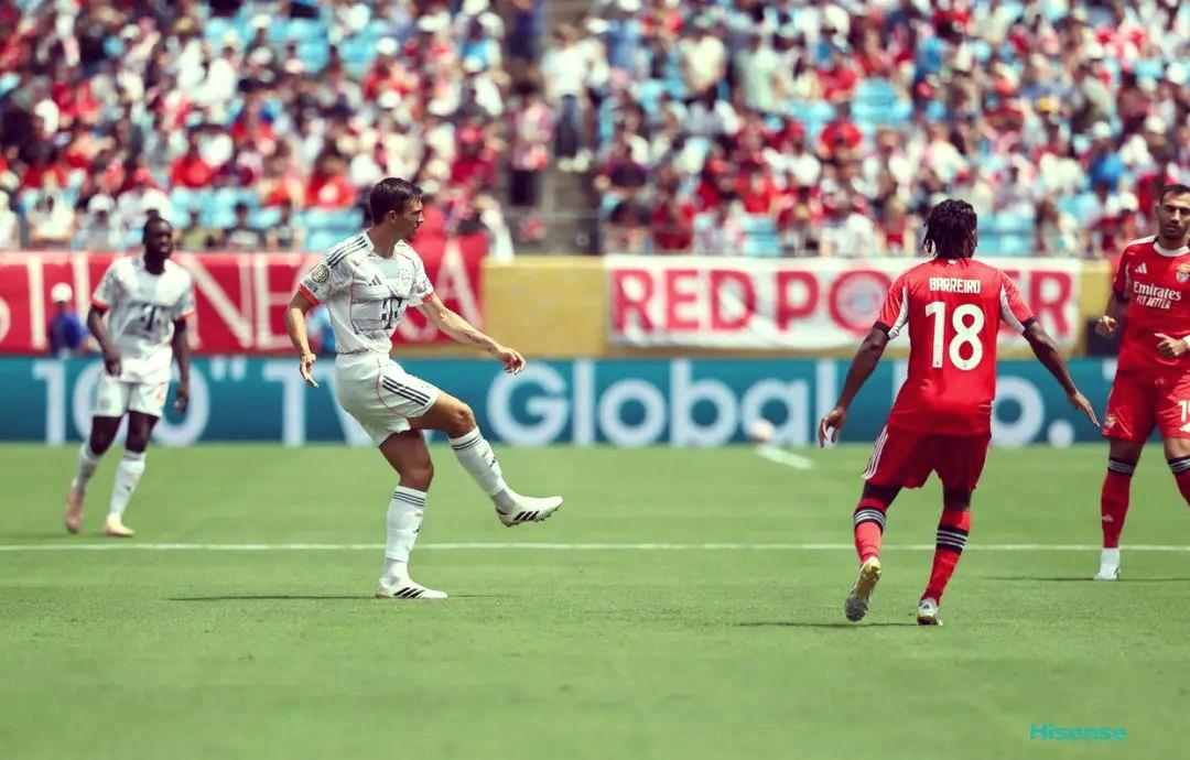 九博官网入口 -全明星赛赛程吃紧,本菲卡赛前扳平良机,信心回归,年轻球员得到机会(s13全球总决赛赛程表)